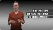 Is it True We Have Taste Buds in Our Stomachs?