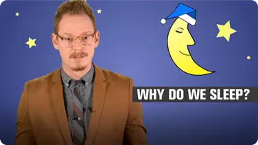 Why Do We Sleep? book