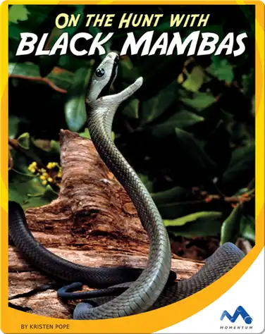 On the Hunt With Black Mambas book