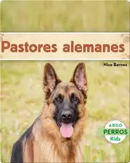 Pastores alemanes