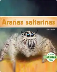 Arañas saltarinas