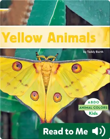 Yellow Animals book