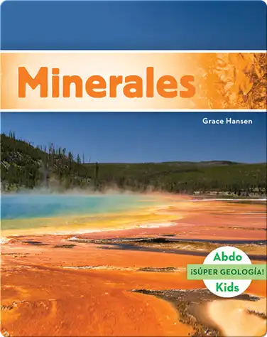 Minerales book