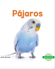 Pájaros