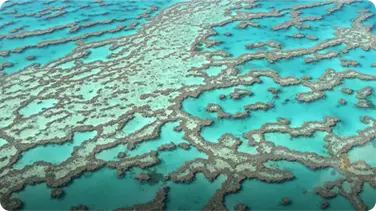 Did You Know: The Great Barrier Reef book