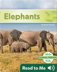 Elephants