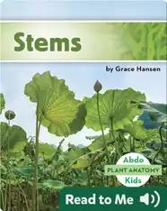 Stems