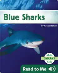 Blue Sharks