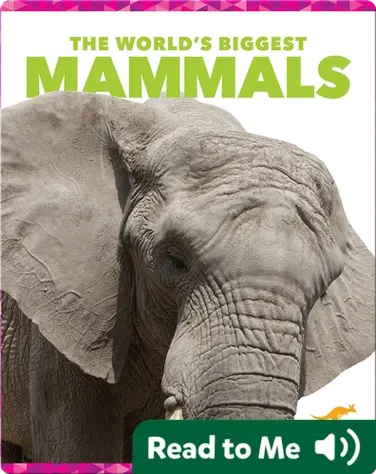 The World's Biggest Mammals book