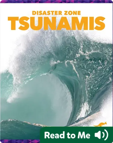 Disaster Zone: Tsunamis book