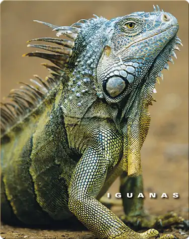 Iguanas book