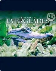 Welcome to Everglades National Park