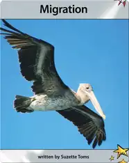 Migration