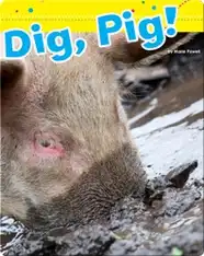 Dig, Pig!