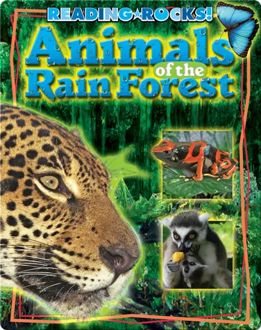 Animals of the RainForest book