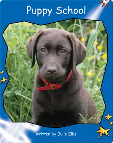 Puppy School book