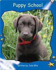 Puppy School
