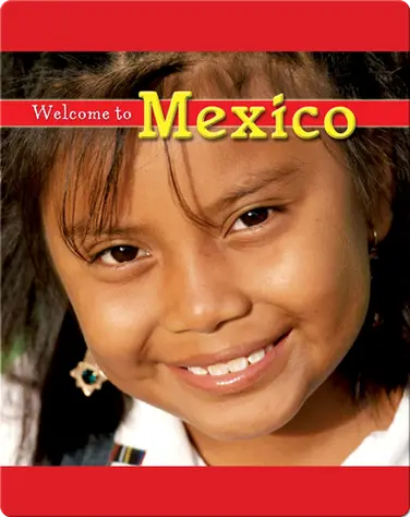 Welcome to Mexico book