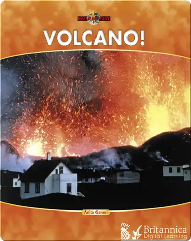 Volcano! book