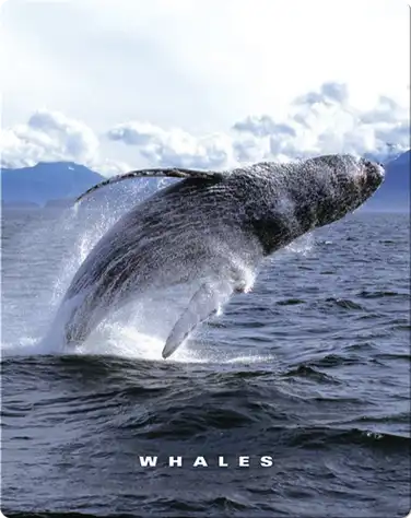 Whales book