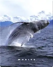 Whales