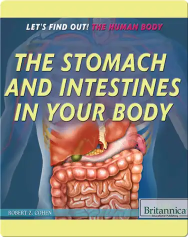 The Stomach and Intestines in Your Body book