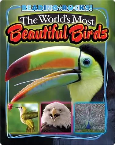 The World's Most Beautiful Birds book