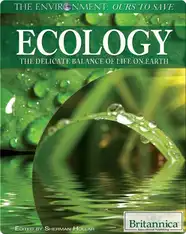 Ecology: The Delicate Balance of Life on Earth