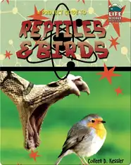 A Project Guide to Reptiles & Birds