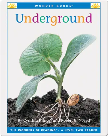 Underground book