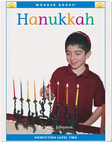 Hanukkah book