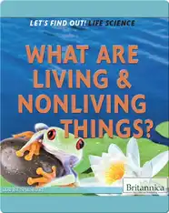 What Are Living & Nonliving Things?