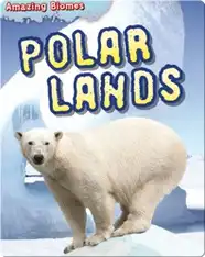 Polar Lands