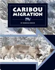 Caribou Migration