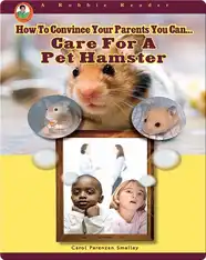 Care for a Pet Hamster