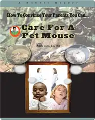 Care for a Pet Mouse