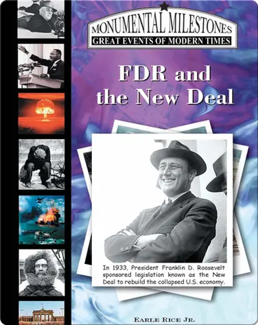 FDR and the New Deal book