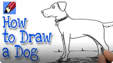 How to Draw a Dog Real Easy book