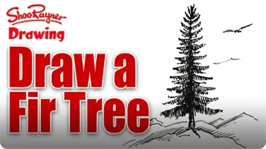 How to Draw a Fir Tree book