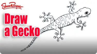 How to Draw a Gecko book