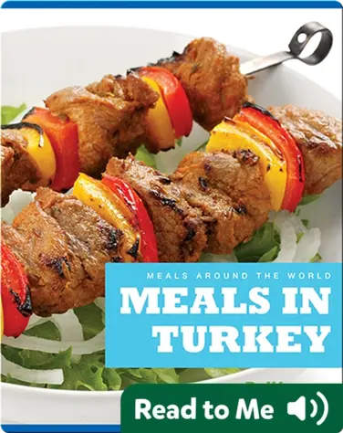 Meals in Turkey book