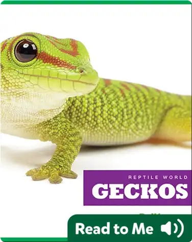 Reptile World: Geckos book