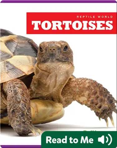 Reptile World: Tortoises book