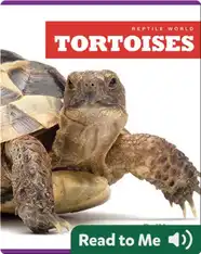 Reptile World: Tortoises