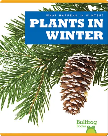 What Happens In Winter? Plants In Winter book