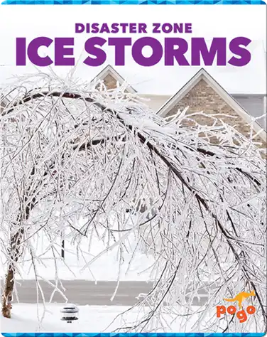 Disaster Zone: Ice Storms book