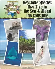 Keystone Species that Live in the Sea and Along the Coastline