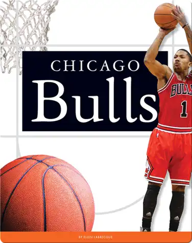 Chicago Bulls book