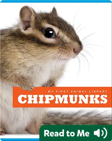 My First Animal Library: Chipmunks book