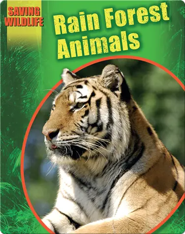 Rain Forest Animals book